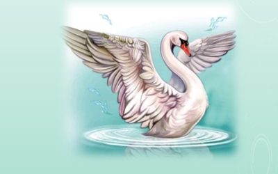 Ballet Juvenil de Quilmes Presenta El Lago de los Cisnes