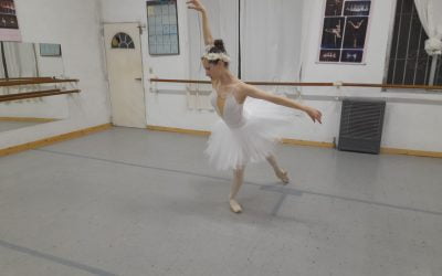 La princesa Odette va en busca del amor, ella es la heredera del reino.